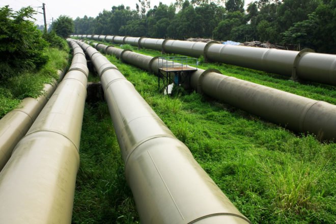 pipeline running through a forest