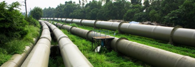 pipeline running through a forest