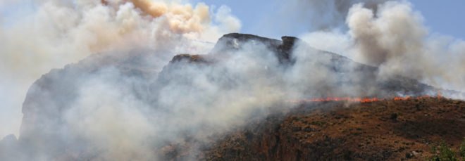 Wildfire on a mountain
