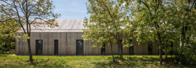 Timber home partially disguised by trees
