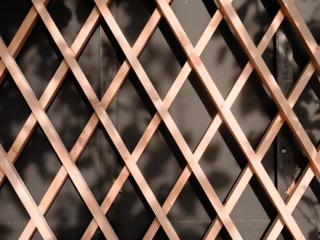 lattice close up