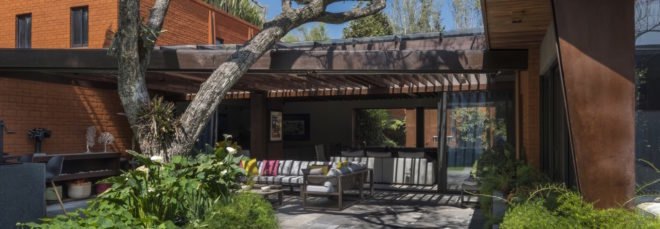 courtyard with large tree and greenery outside of home
