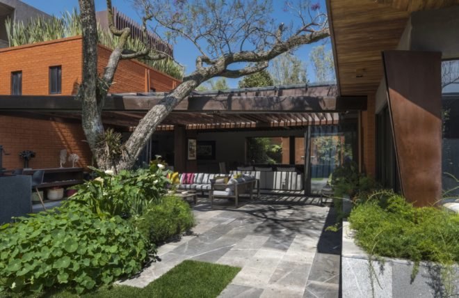 courtyard with large tree and greenery outside of home