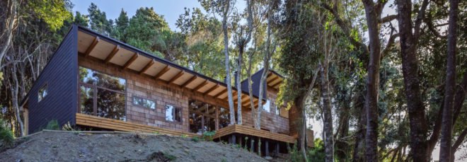 wooden home surrounded by trees