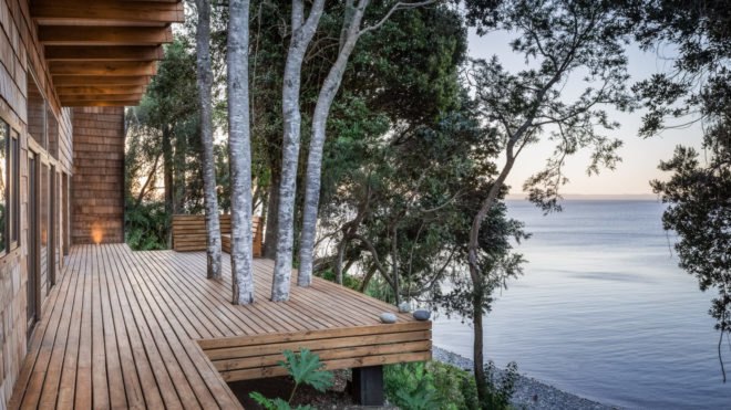 various trees growing out of a wooden deck