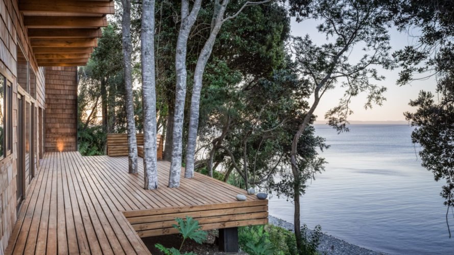 various trees growing out of a wooden deck