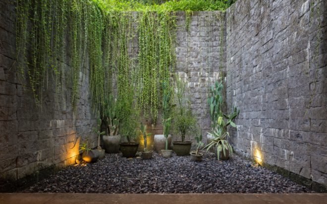 courtyard with concrete walls, greenery draping over the walls and many potted plants