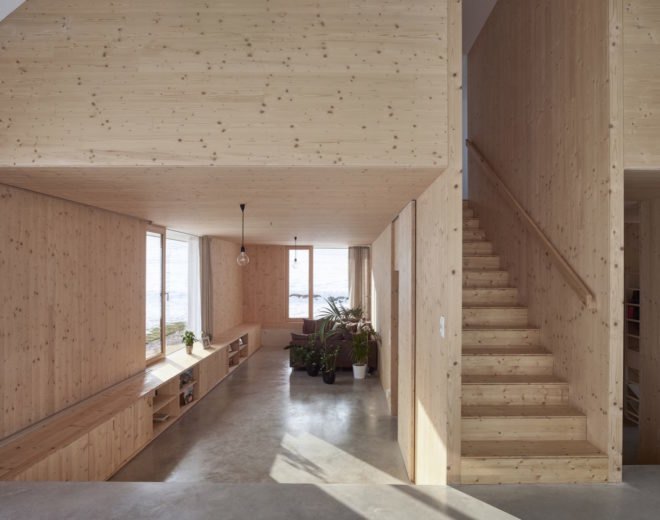 Living room with potted plants and light timber walls, ceilings and bookcases with timber stairs to the right