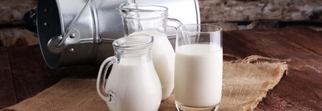several glass pitchers of milk