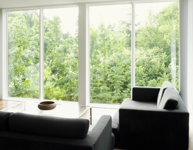 view of forest through tall windows