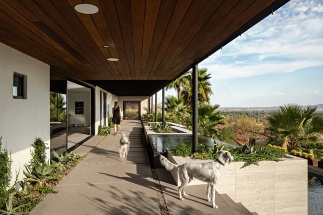 an open air patio with dog