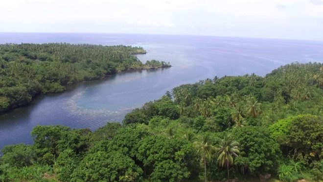 ocean fjord on the coast of papua new guinea