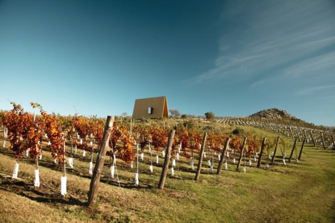 timber chapel on hill surrounded by vineyards