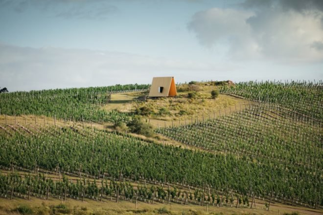 timber chapel surrounded by vineyards