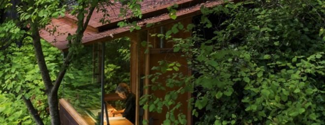 Cabin nearly hidden by trees