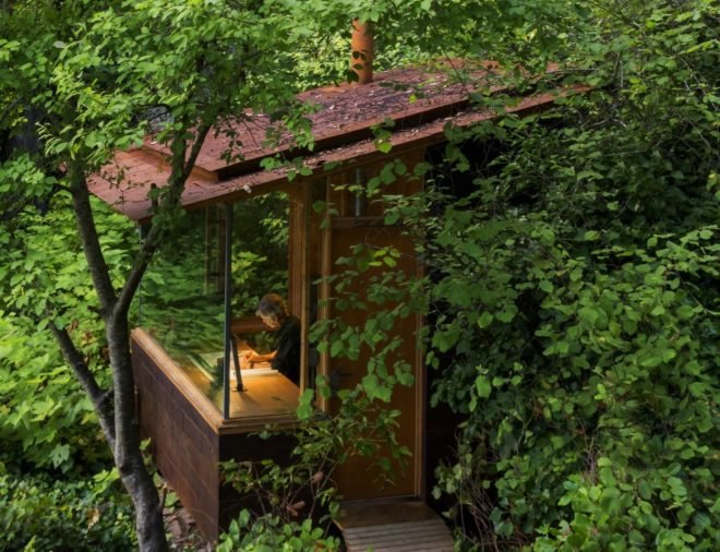 Cabin nearly hidden by trees