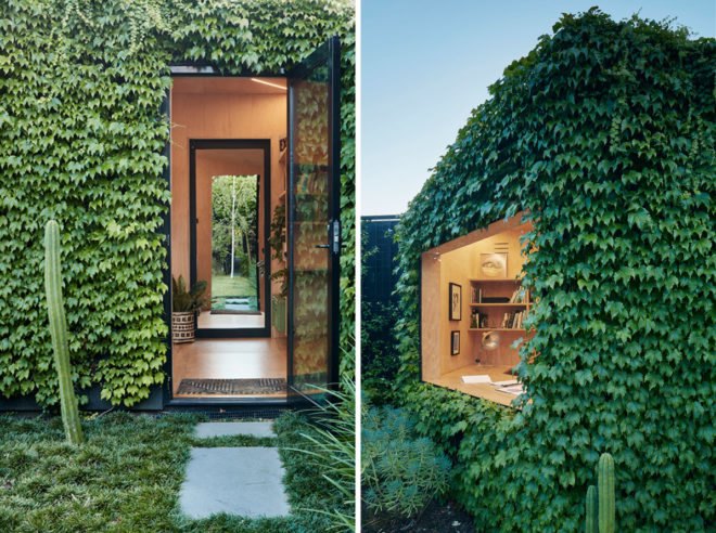 On the left, open door to the studio. On the right, double-glazed glass window surrounded by ivy.