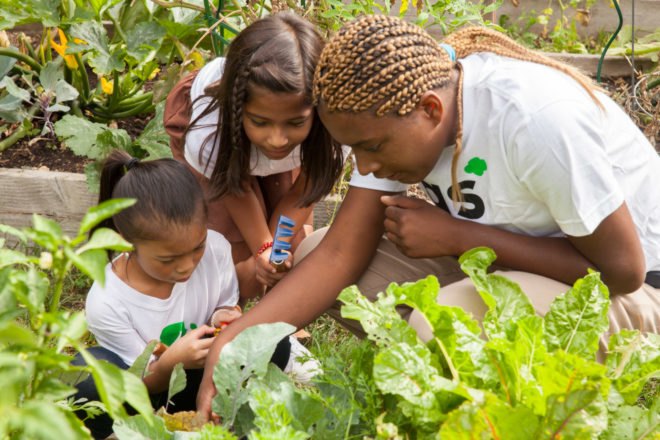 Three girls tending to plants