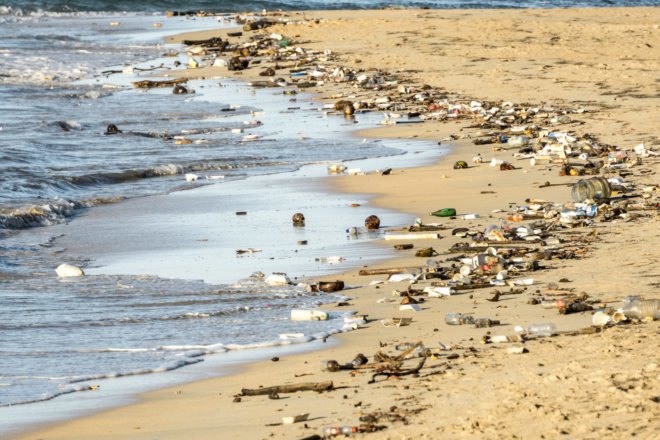 Trash washed up on a beach
