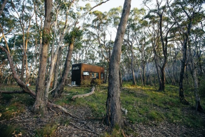 tiny wood cabin in the forest
