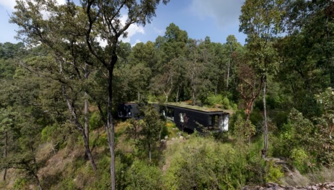 aerial view of dark home in a forest
