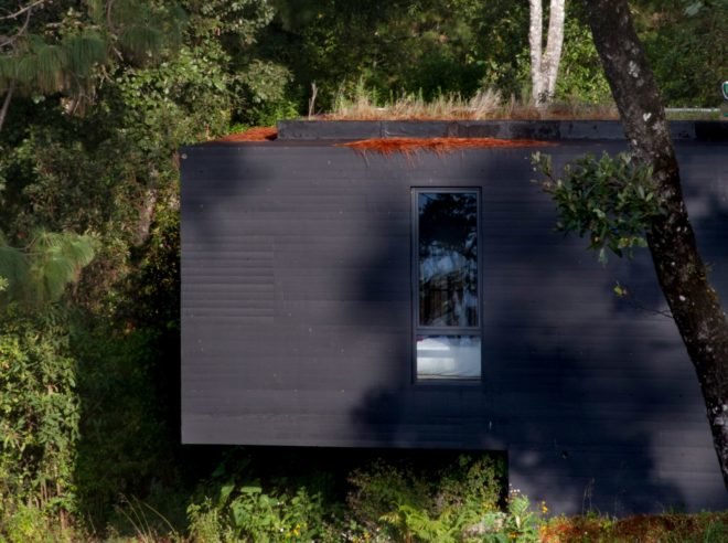 a black-clad home with vertical window and green roof