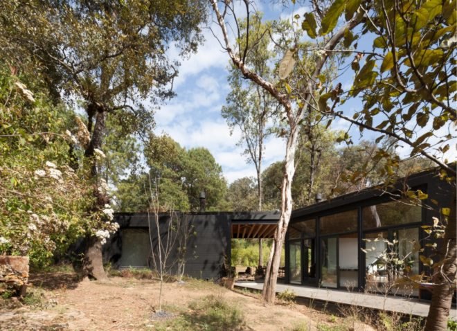 dark timber home with large windows