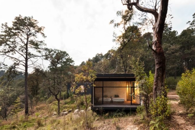 home with extra large window surrounded by greenery