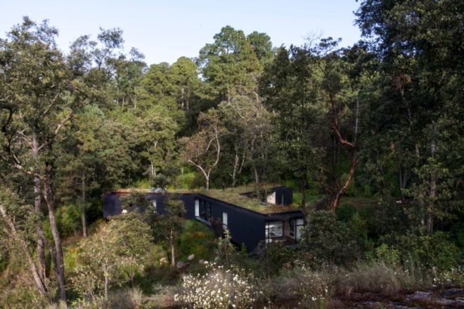 black home surrounded by forest