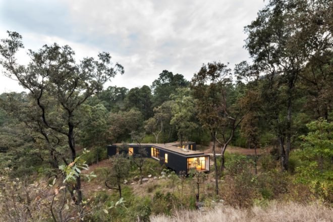a black home surrounded by greenery