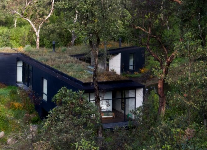 black home with green roof surrounded by greenery
