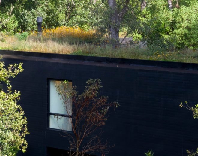a black-clad home with vertical window and green roof