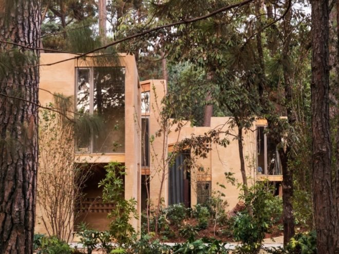 exterior of house behind pine trees