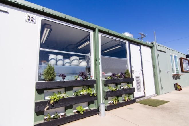 herb garden growing on outdoor wall of shipping container