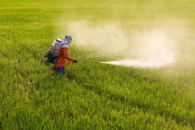 a man spraying pesticide on a field