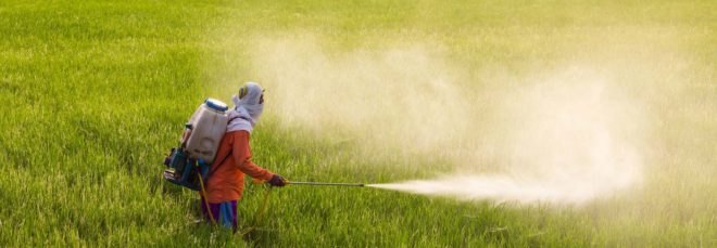 a man spraying pesticide on a field