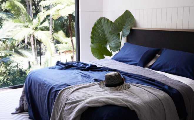Bedroom with blue bedding, glass walls, and giant leafy plant beside the bed
