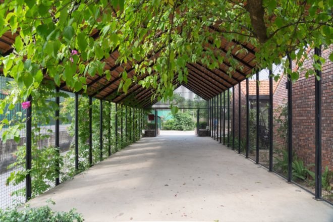 view of walkway with greenery above