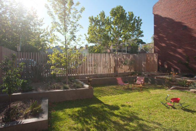 backyard with trees and setting sun