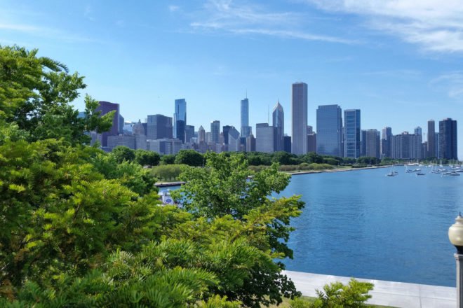Tree leaves in foreground, Chicago city skyline in background