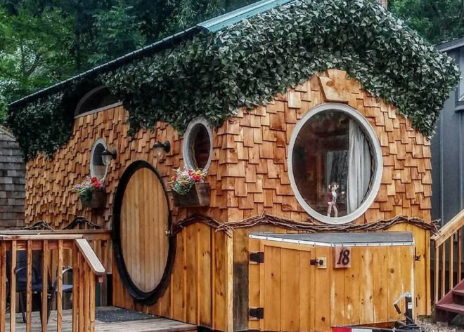 tiny wooden house with ivy-covered roof