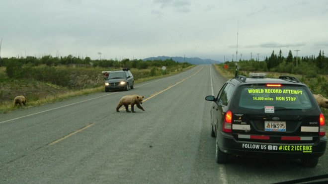 Bear cubs crossing the road and Ice2Ice expedition vehicle parked
