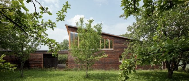 tree beside home clad in charred timber