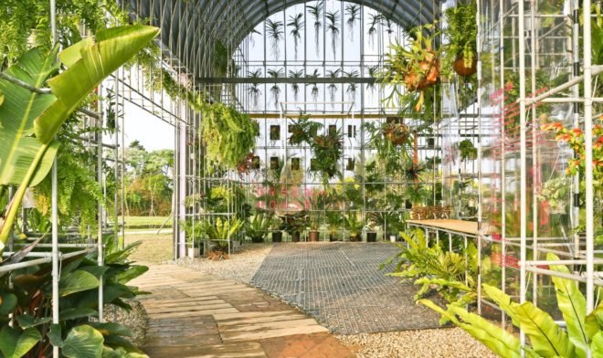greenhouse filled with plants during the day
