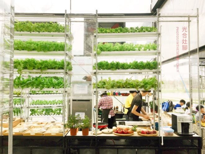 chefs cooking near a vertical farm