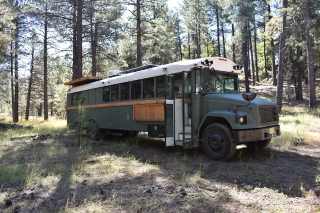 long dark green school bus in forest
