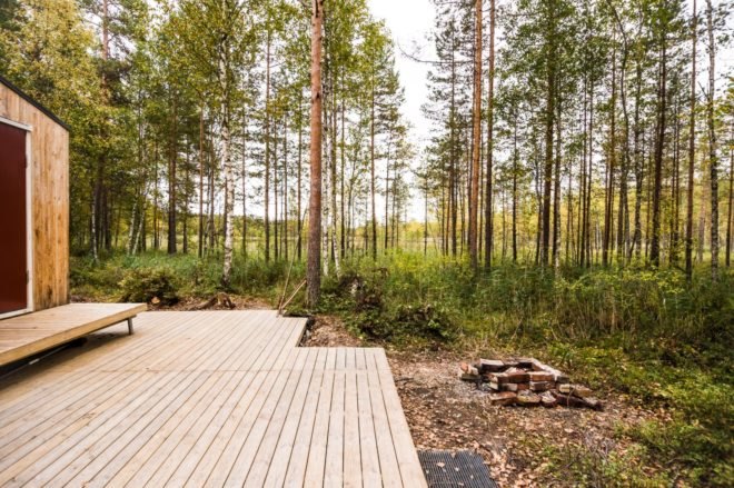 a wooden deck surrounded by greenery