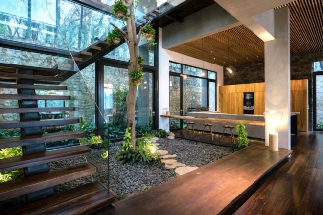 tree growing inside a home with glass walls