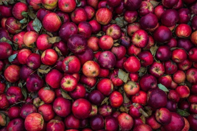 lot of scarred apples