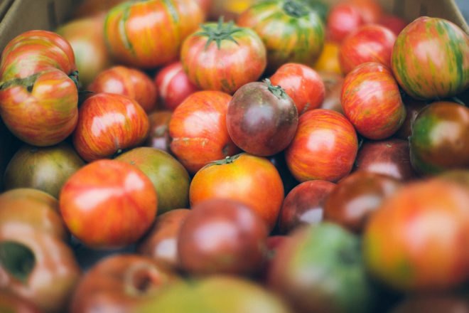 Lot of heirloom tomatoes